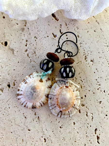 Shell Earrings